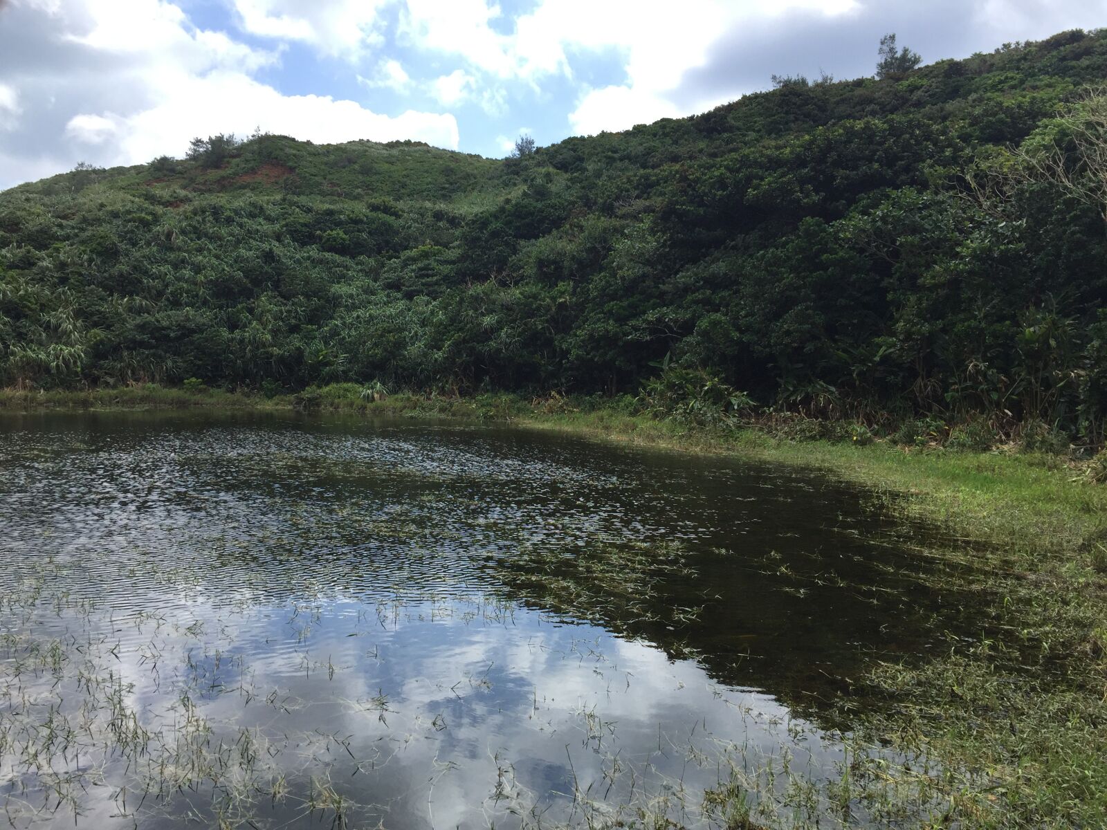 iPhone 6 back camera 4.15mm f/2.2 sample photo. Island, lake, blue sky photography