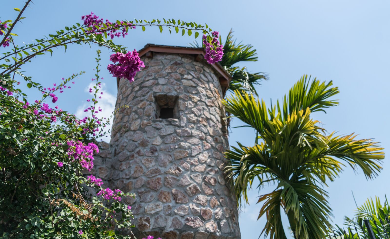 Sony a7R II sample photo. Stone tower, palm trees photography