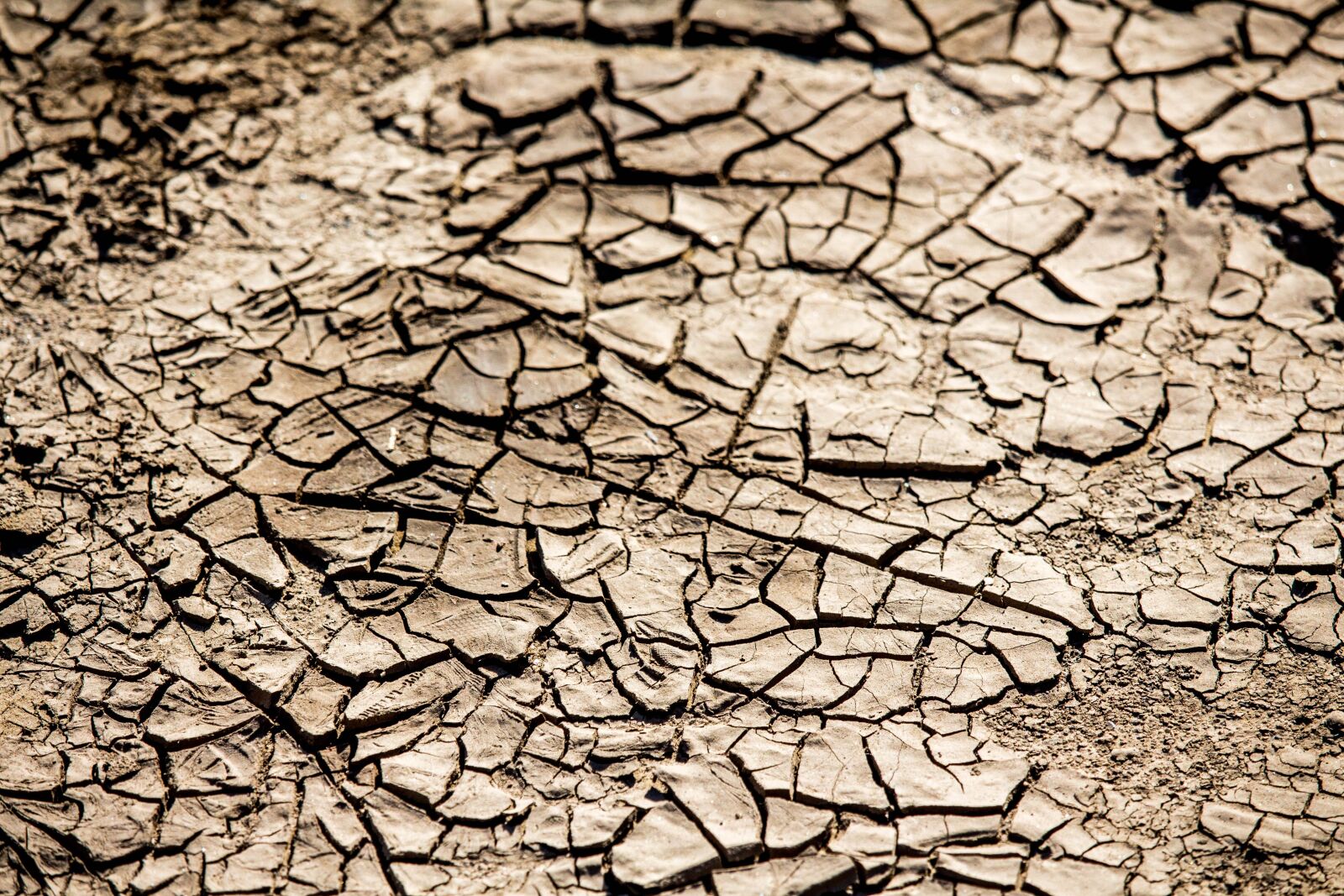 Canon EOS 700D (EOS Rebel T5i / EOS Kiss X7i) sample photo. Drought, dry, arid photography