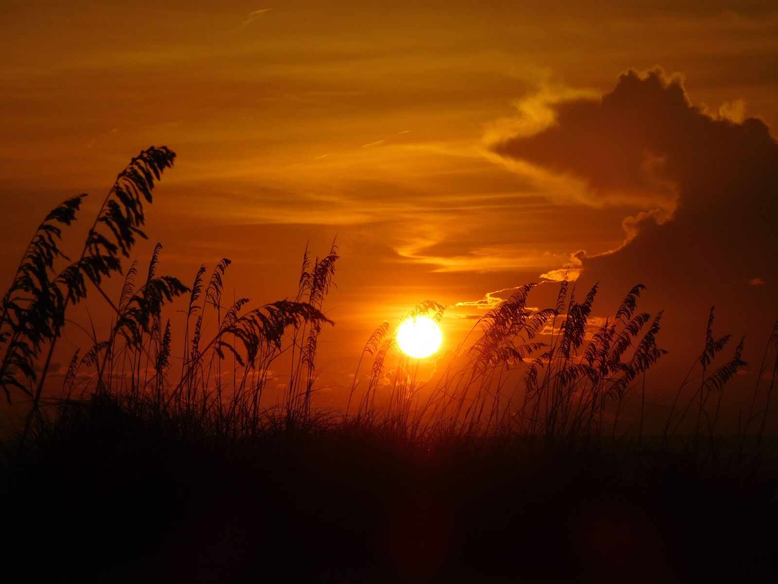 Nikon Coolpix S7000 sample photo. Sunset, evening, beach sunset photography