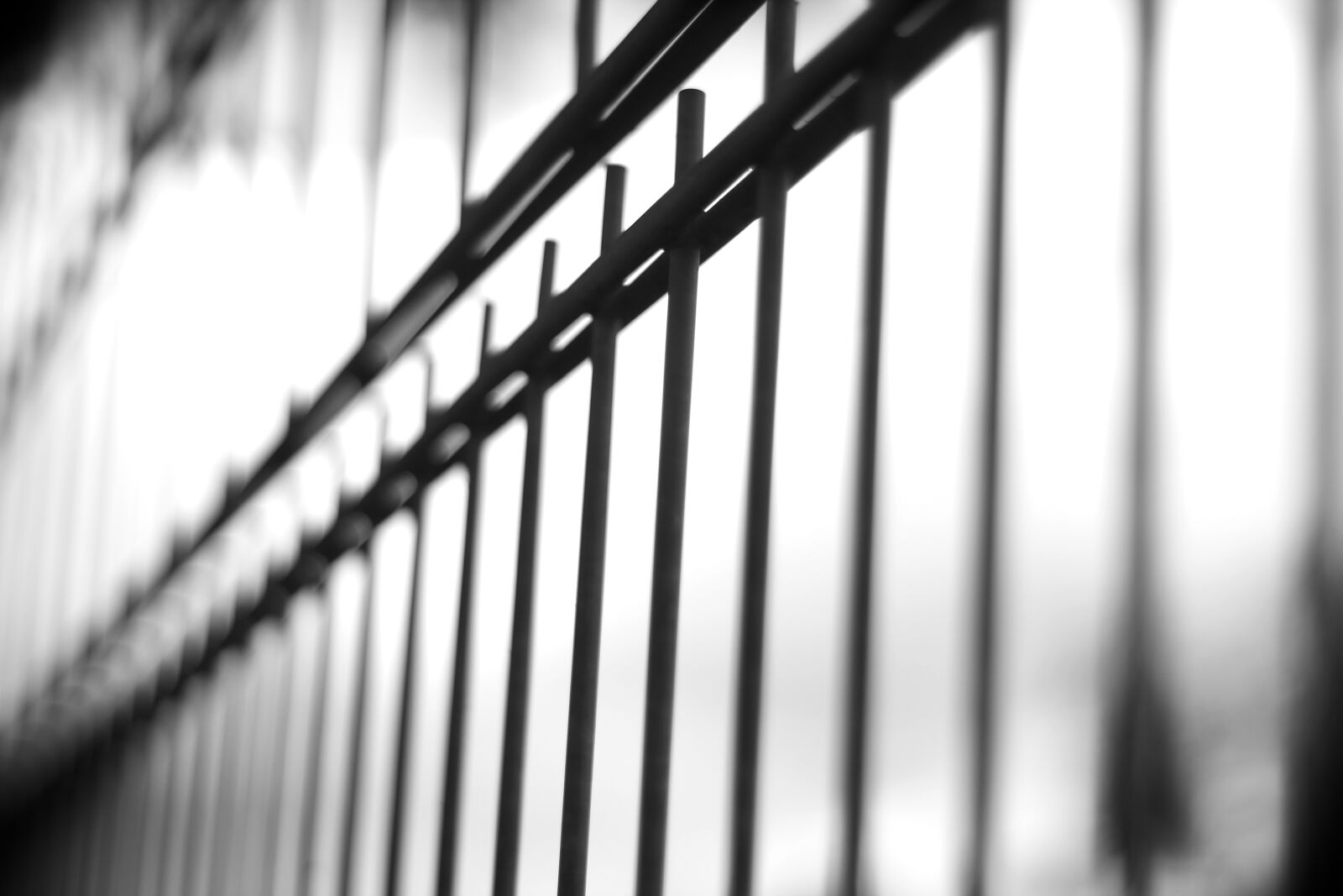 Canon EOS 1100D (EOS Rebel T3 / EOS Kiss X50) sample photo. Weis, pattern, fence photography