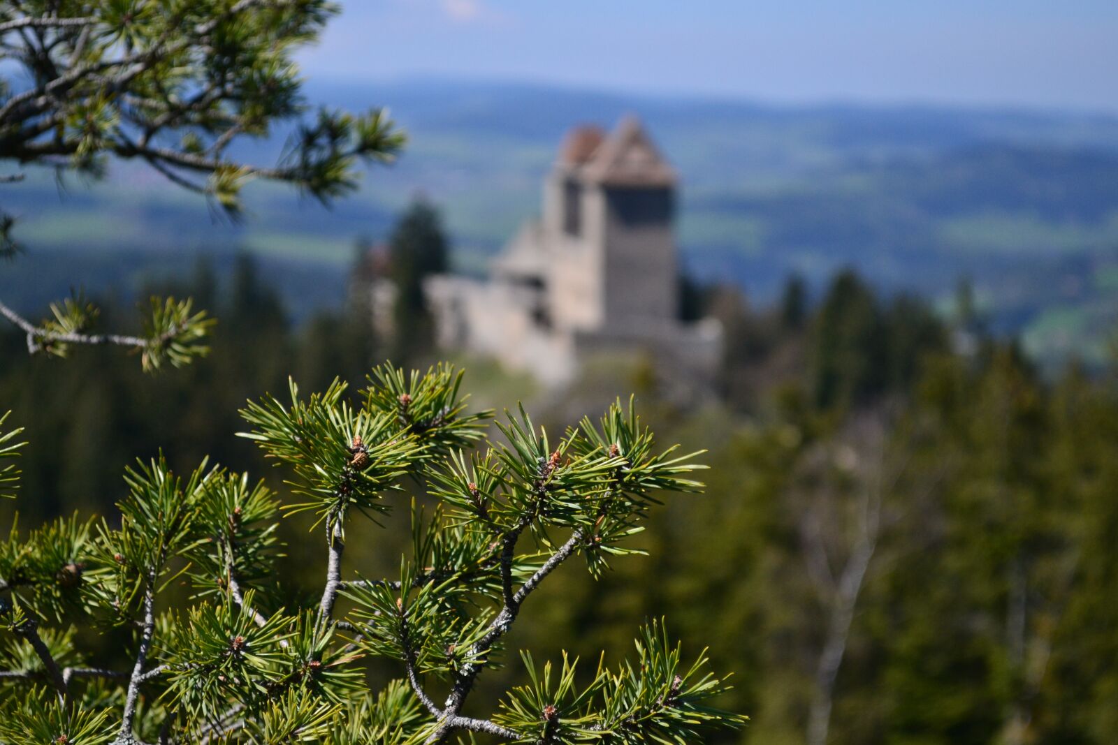 Nikon D3100 sample photo. Ka perk, castles, czech photography