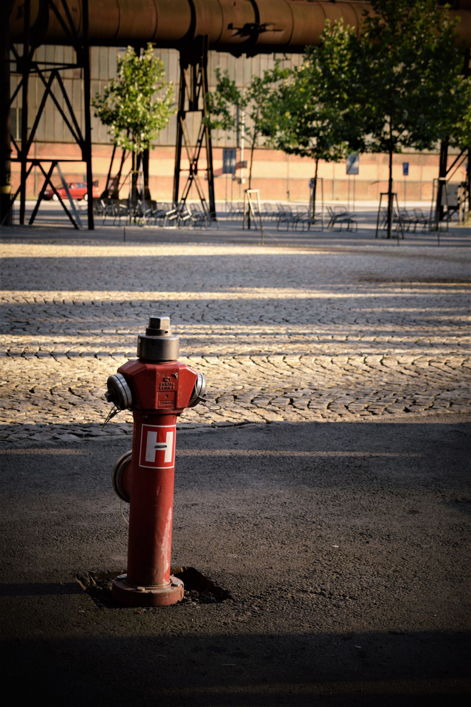 Nikon D3300 sample photo. Hydrant, street, paving photography