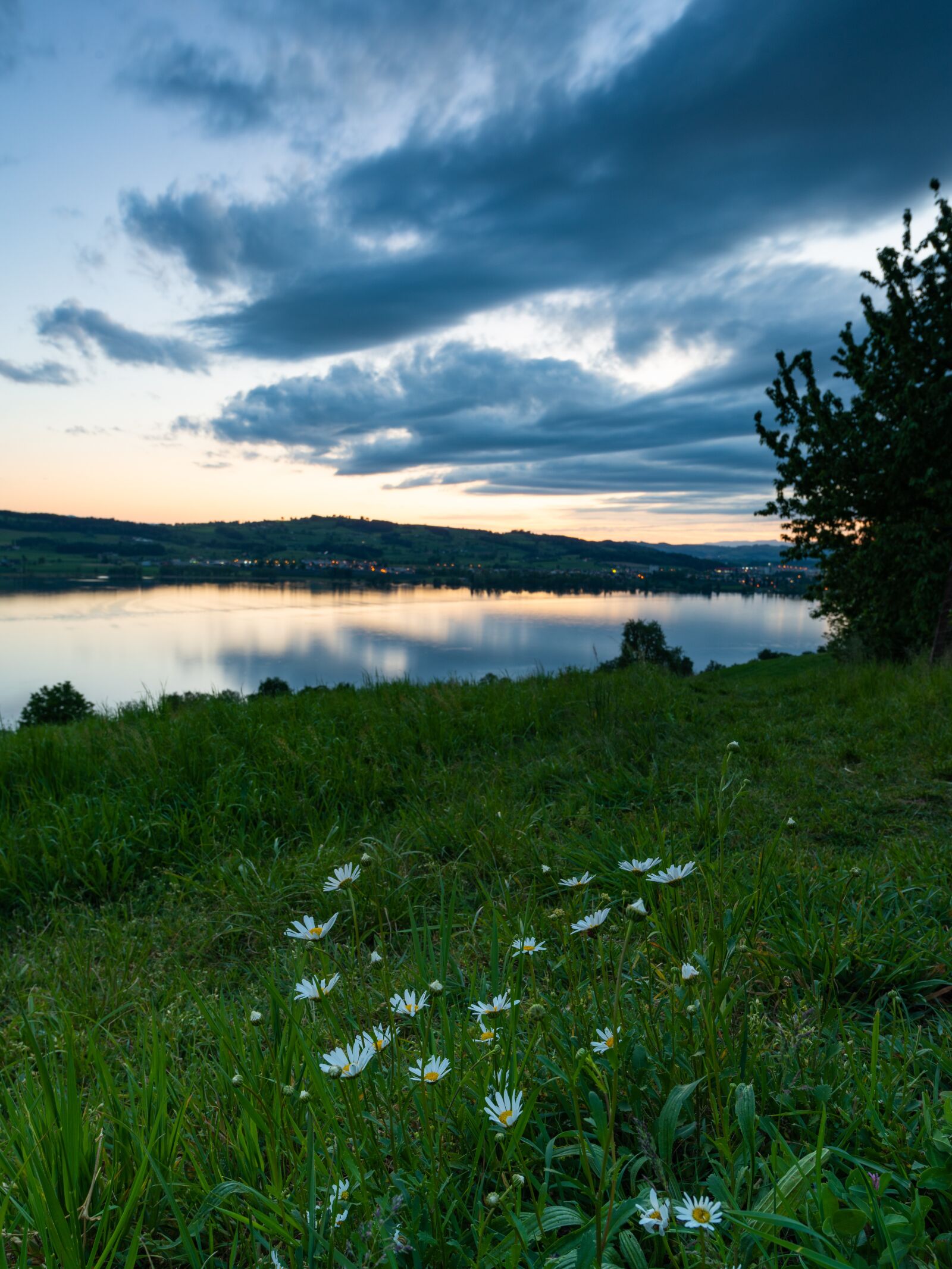 Nikon Z7 sample photo. Sempachersee, lake, spring photography