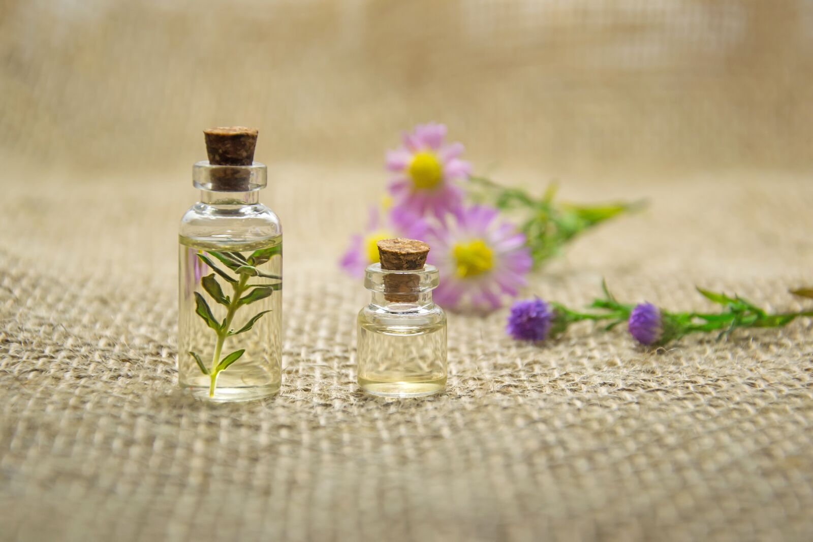 Nikon D3100 sample photo. Essential oils, flower, aromatherapy photography