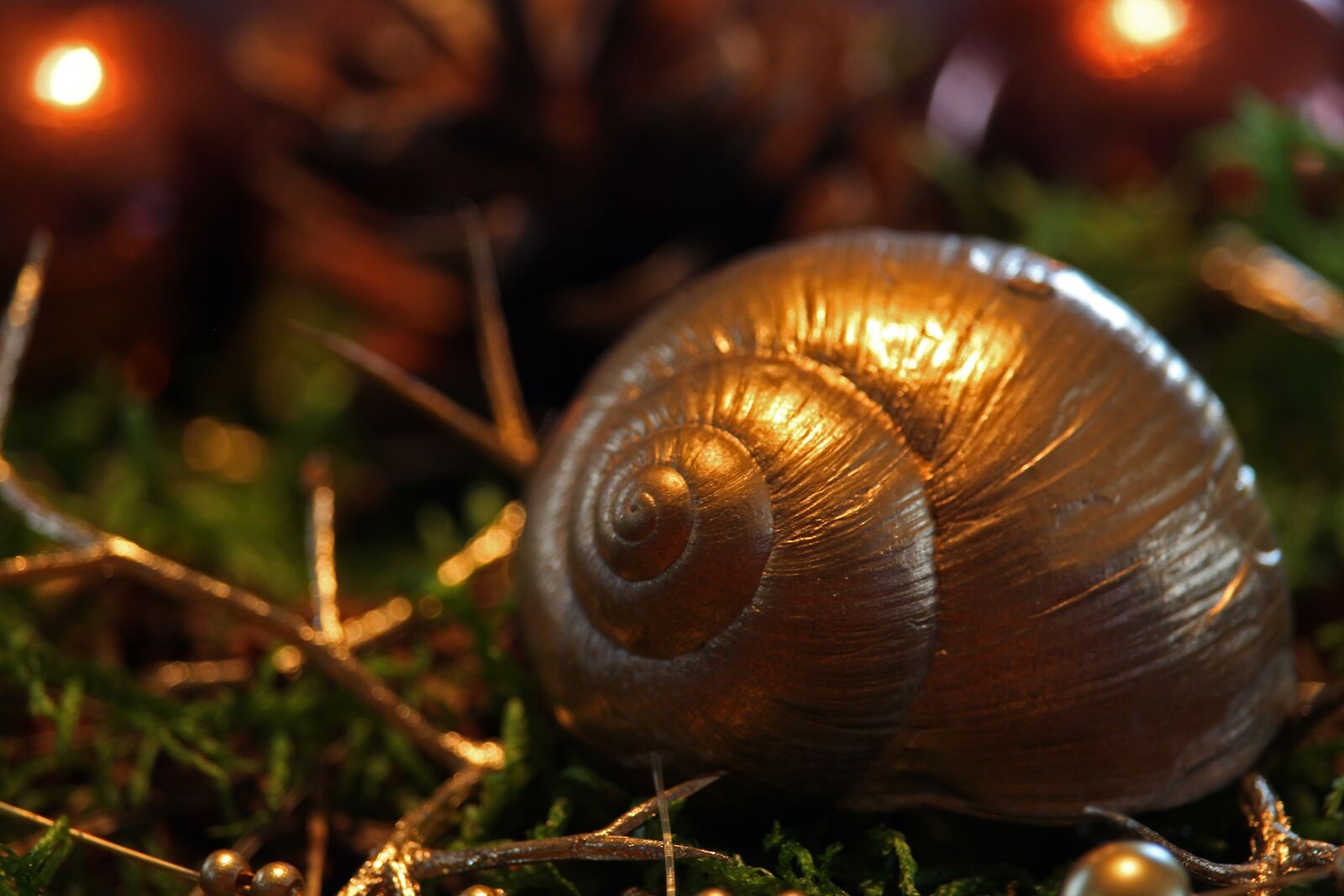 Canon EF-S 55-250mm F4-5.6 IS STM sample photo. Christmas, gold, decoration photography