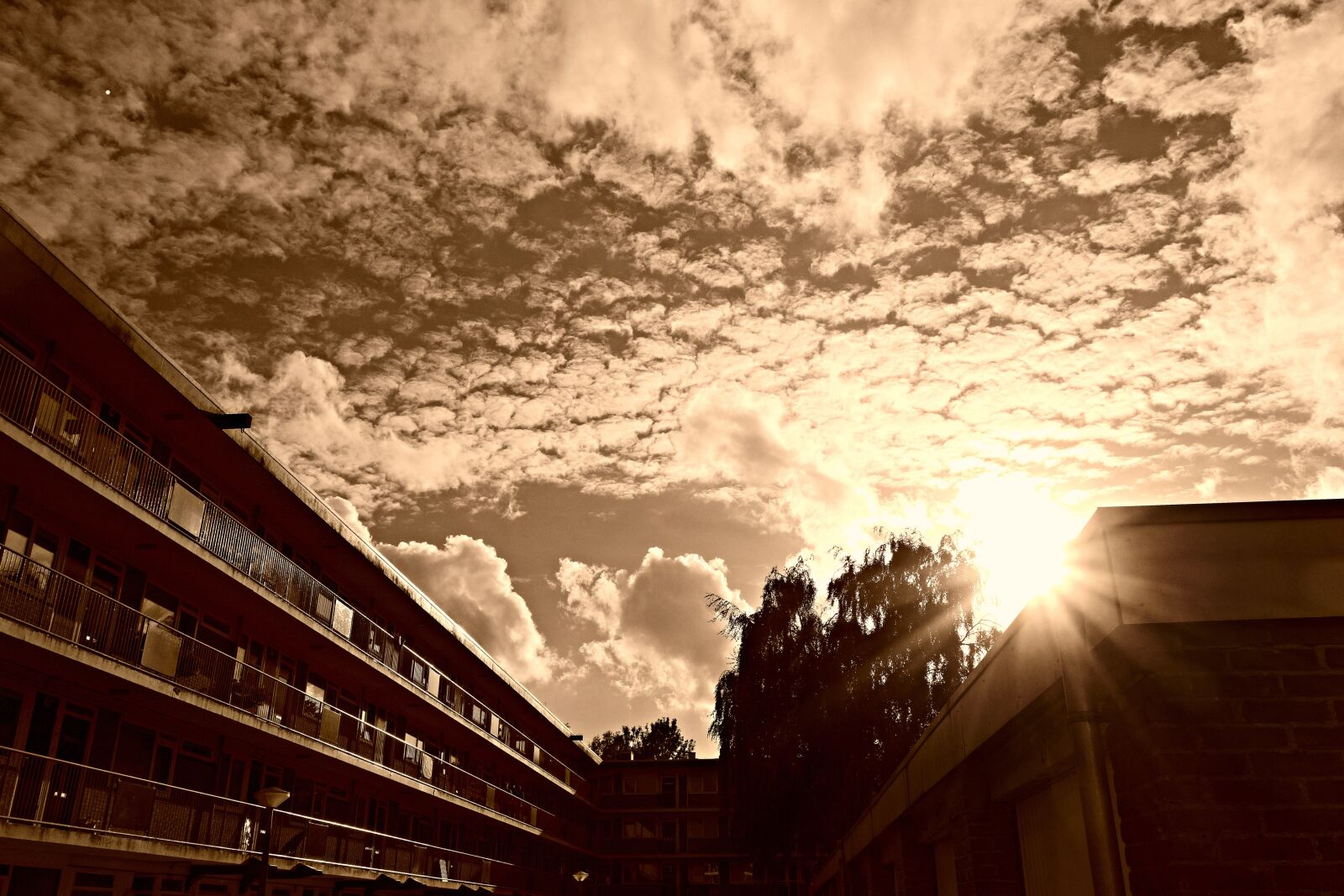 Sony Cyber-shot DSC-RX100 sample photo. Sunset, dusk, sky photography
