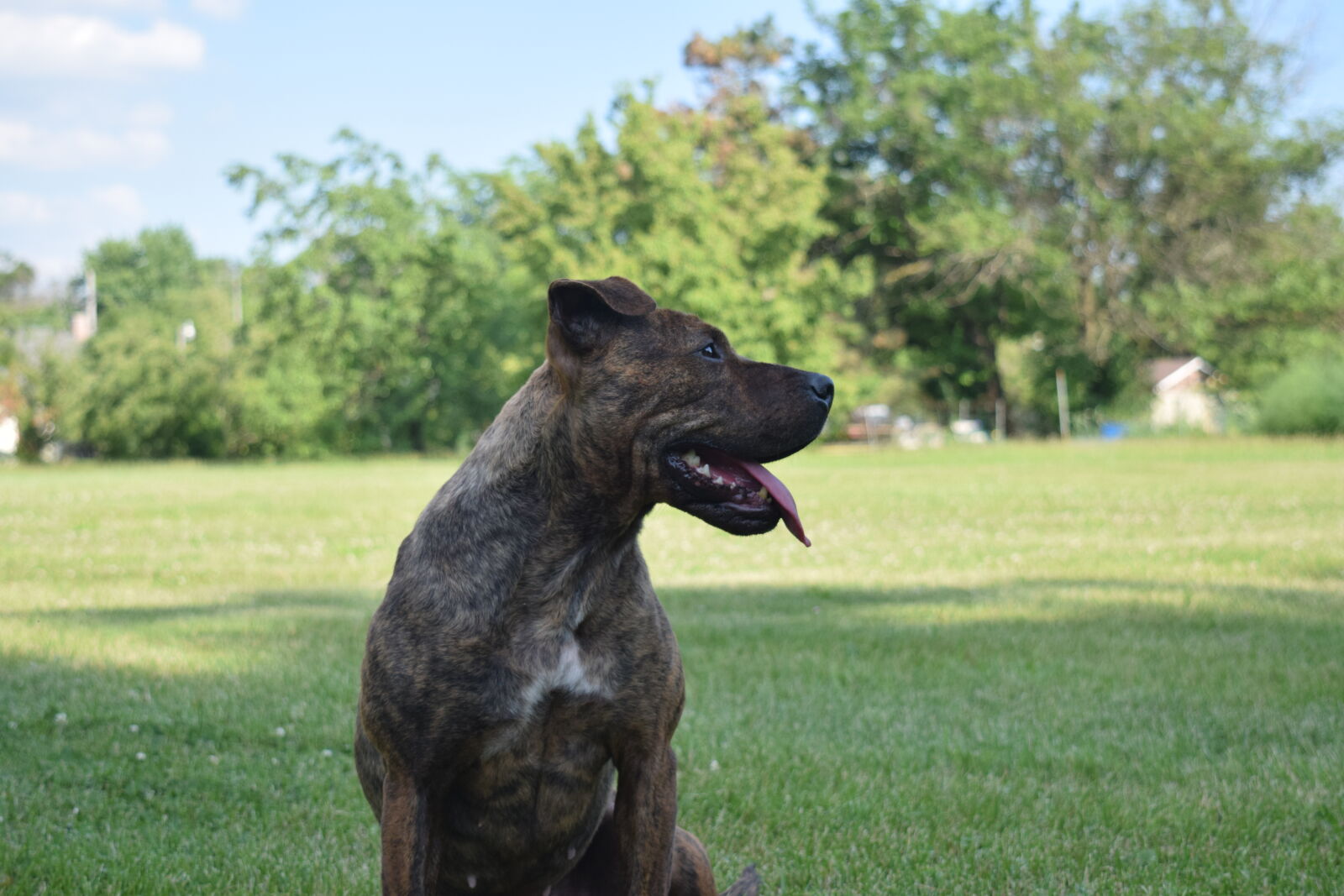 Nikon D3300 sample photo