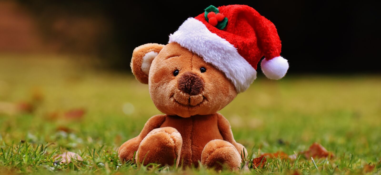 Nikon D7200 sample photo. Christmas, teddy, soft toy photography