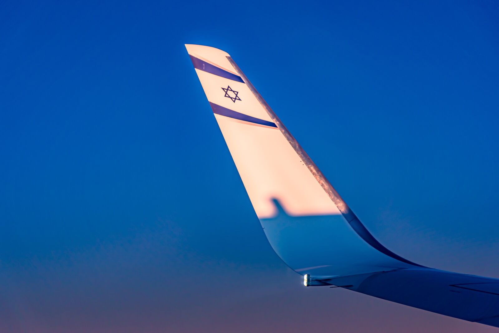 Nikon D5600 sample photo. Flight, el al, on photography