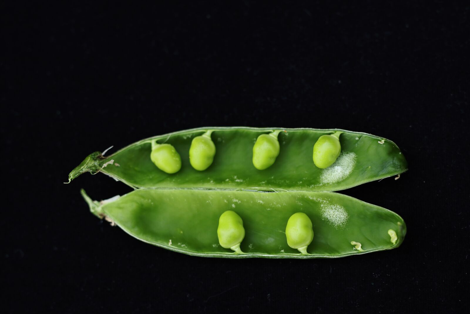 Canon EOS 77D (EOS 9000D / EOS 770D) sample photo. Vegetable, peas, green peas photography