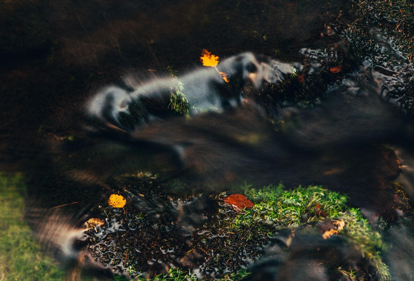 Nikon D810 sample photo. Autumn, water, stream photography