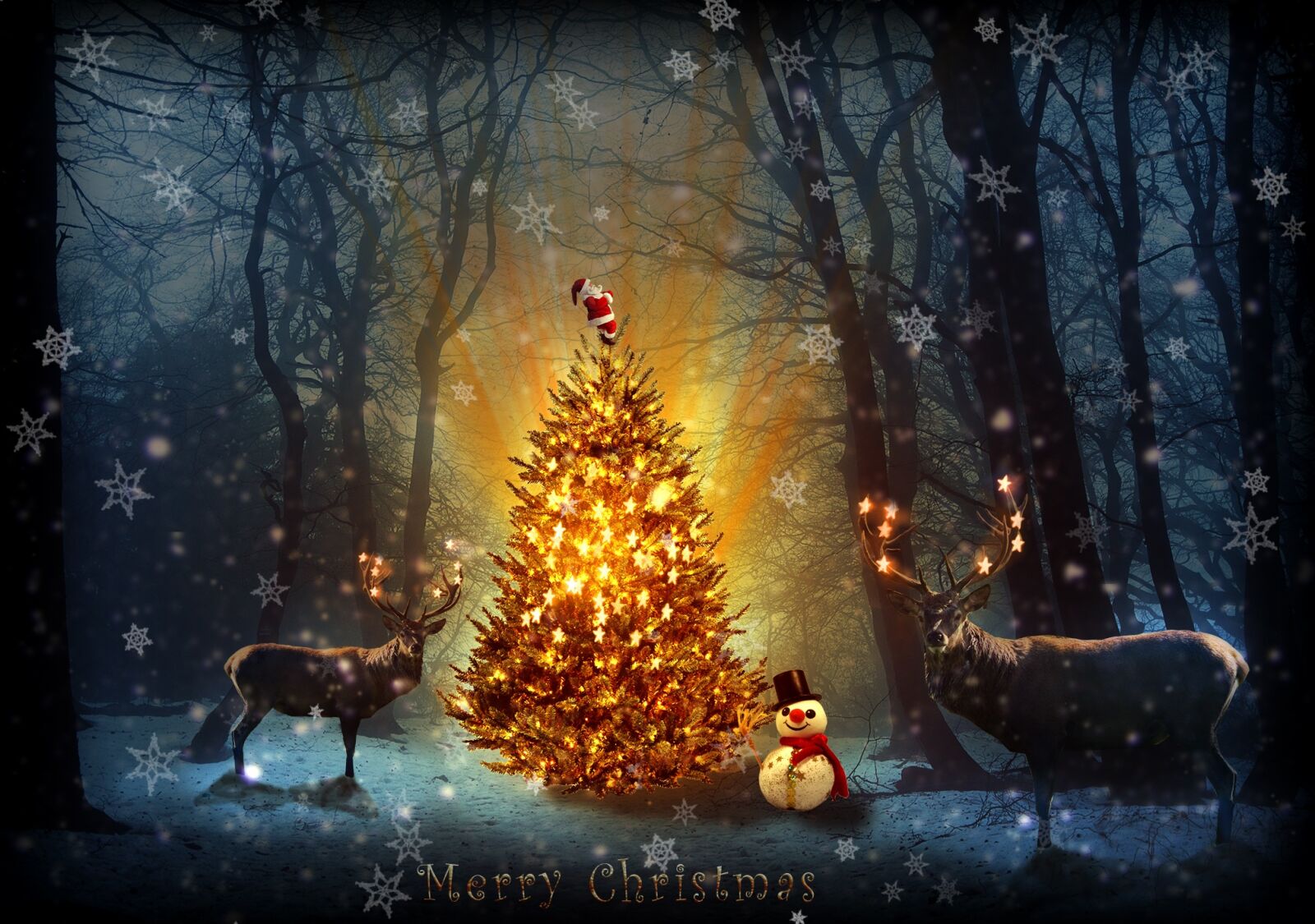 Nikon D90 sample photo. Christmas, photoshop, manipulation photography