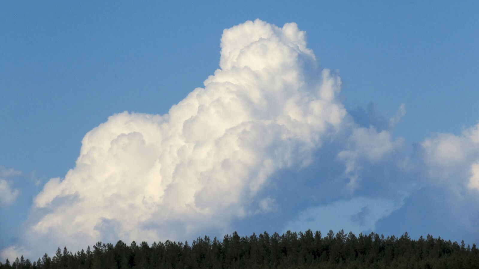 Canon PowerShot SX60 HS sample photo. Cloud, sky, blue photography