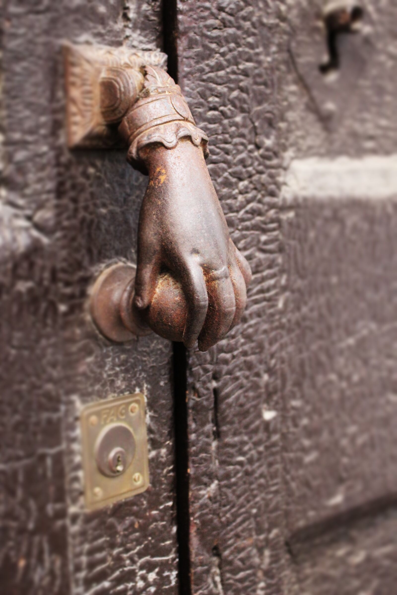 Canon EOS 100D (EOS Rebel SL1 / EOS Kiss X7) sample photo. Hand, knocker, door photography
