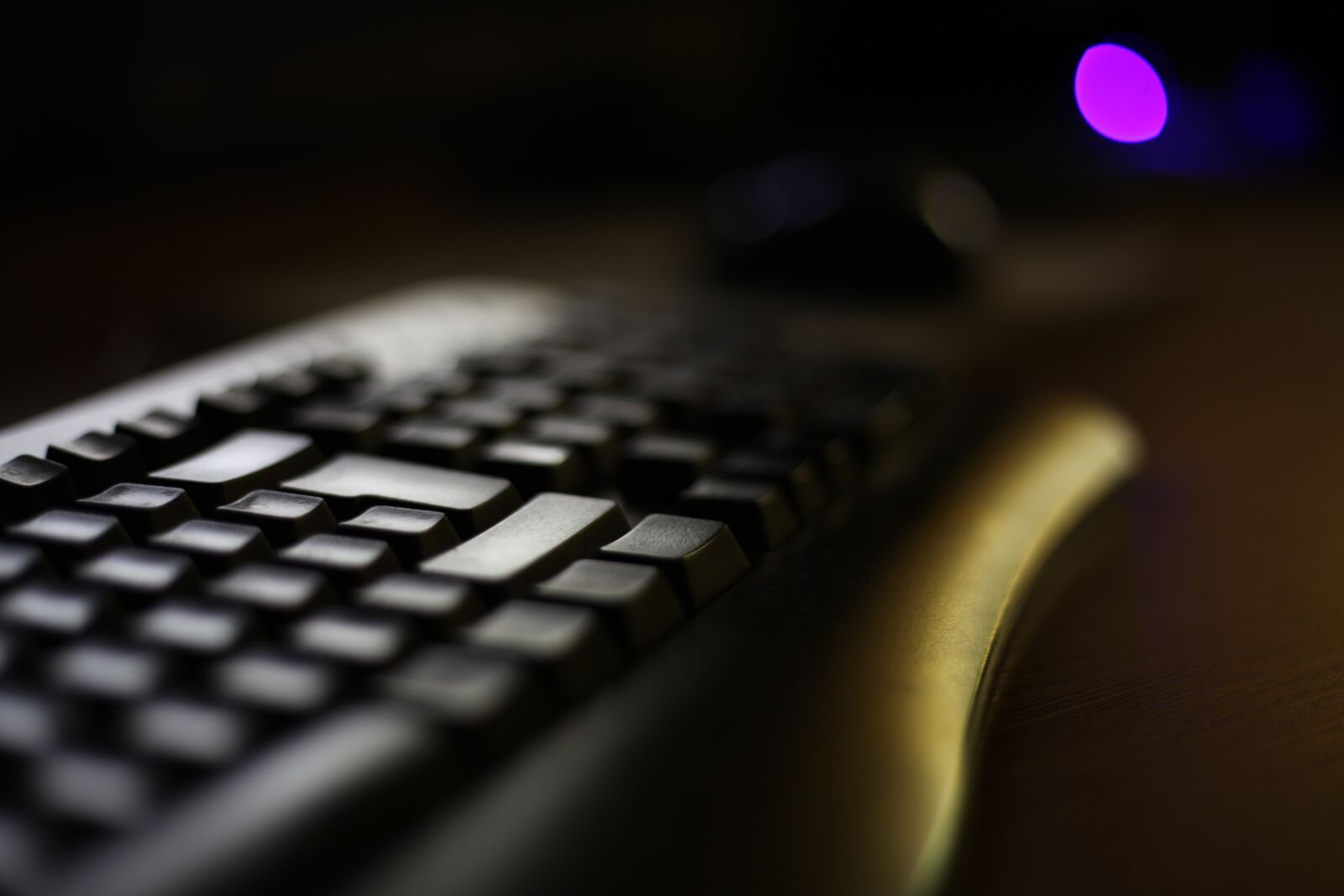 Canon EOS 5D Mark II sample photo. Keyboard, software, programming photography