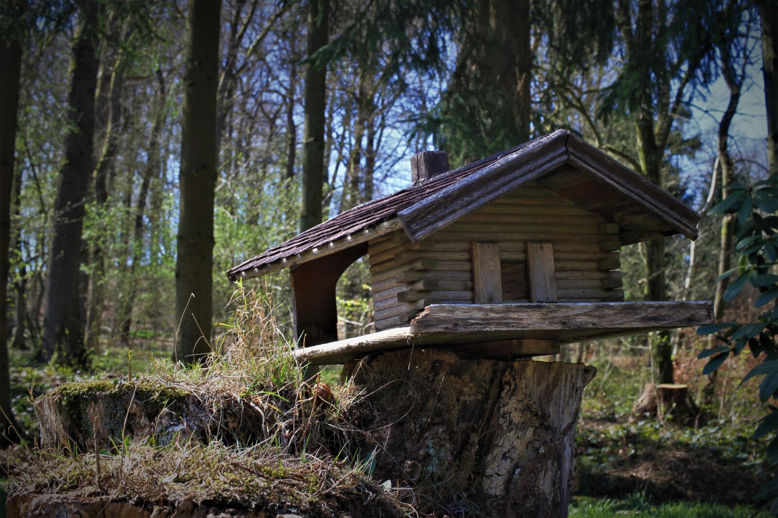 Canon EOS 7D sample photo. Aviary, forest, feeding place photography