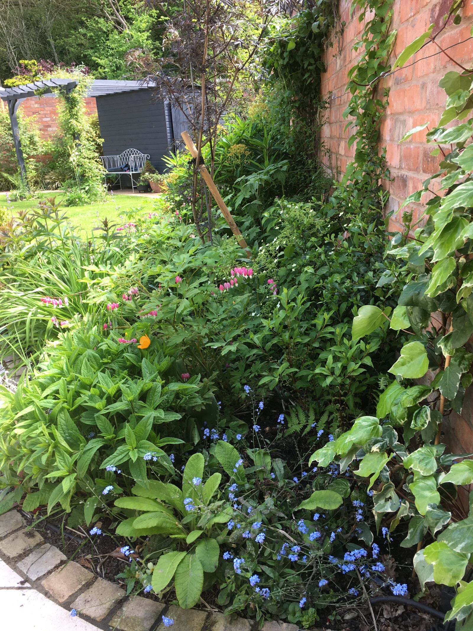 Apple iPhone 6s sample photo. Planting, garden, plant photography