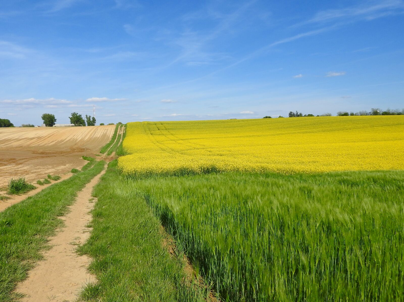 Nikon Coolpix P610 sample photo. Field, landscape, nature photography