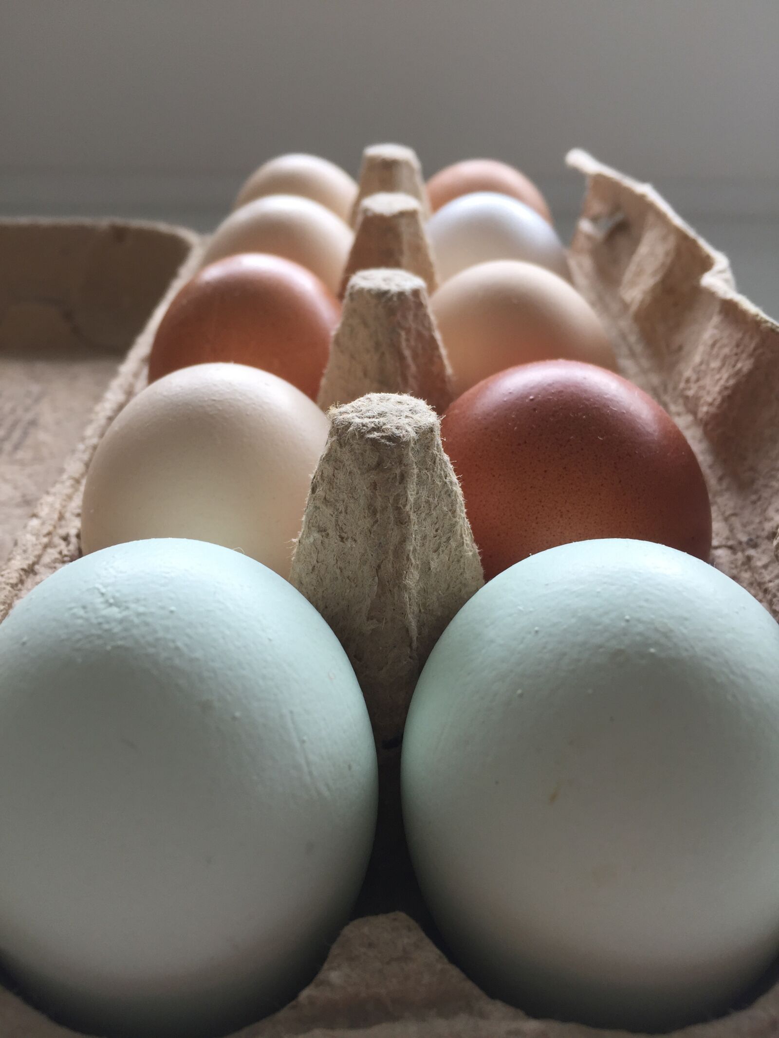 iPhone 6 back camera 4.15mm f/2.2 sample photo. Easter, egg, organic eggs photography