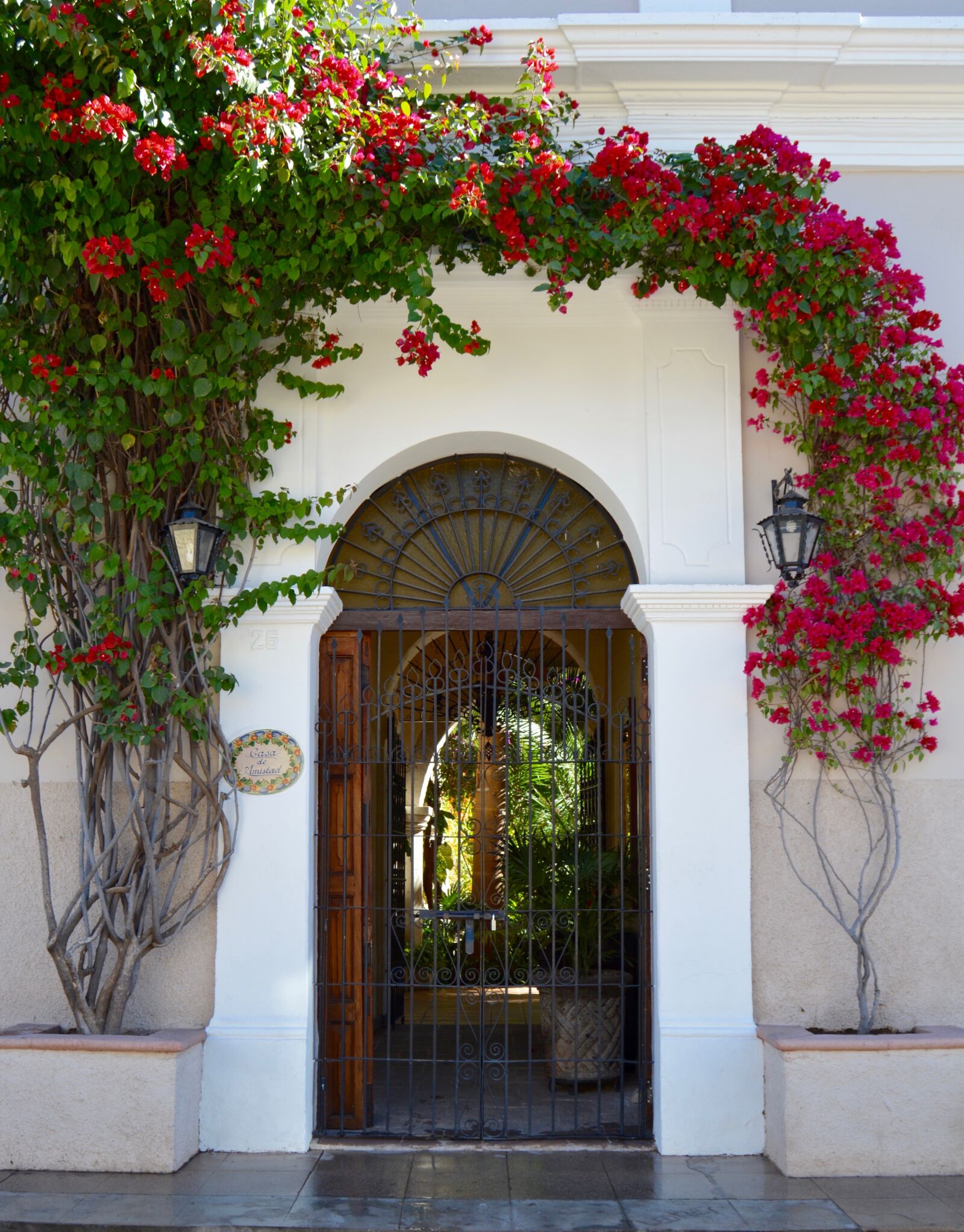 Nikon D5200 sample photo. Door, colonial, poplars photography