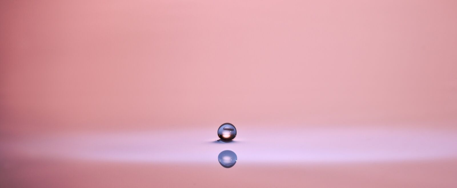 Sony SLT-A77 sample photo. Pearl, drip, drop of photography