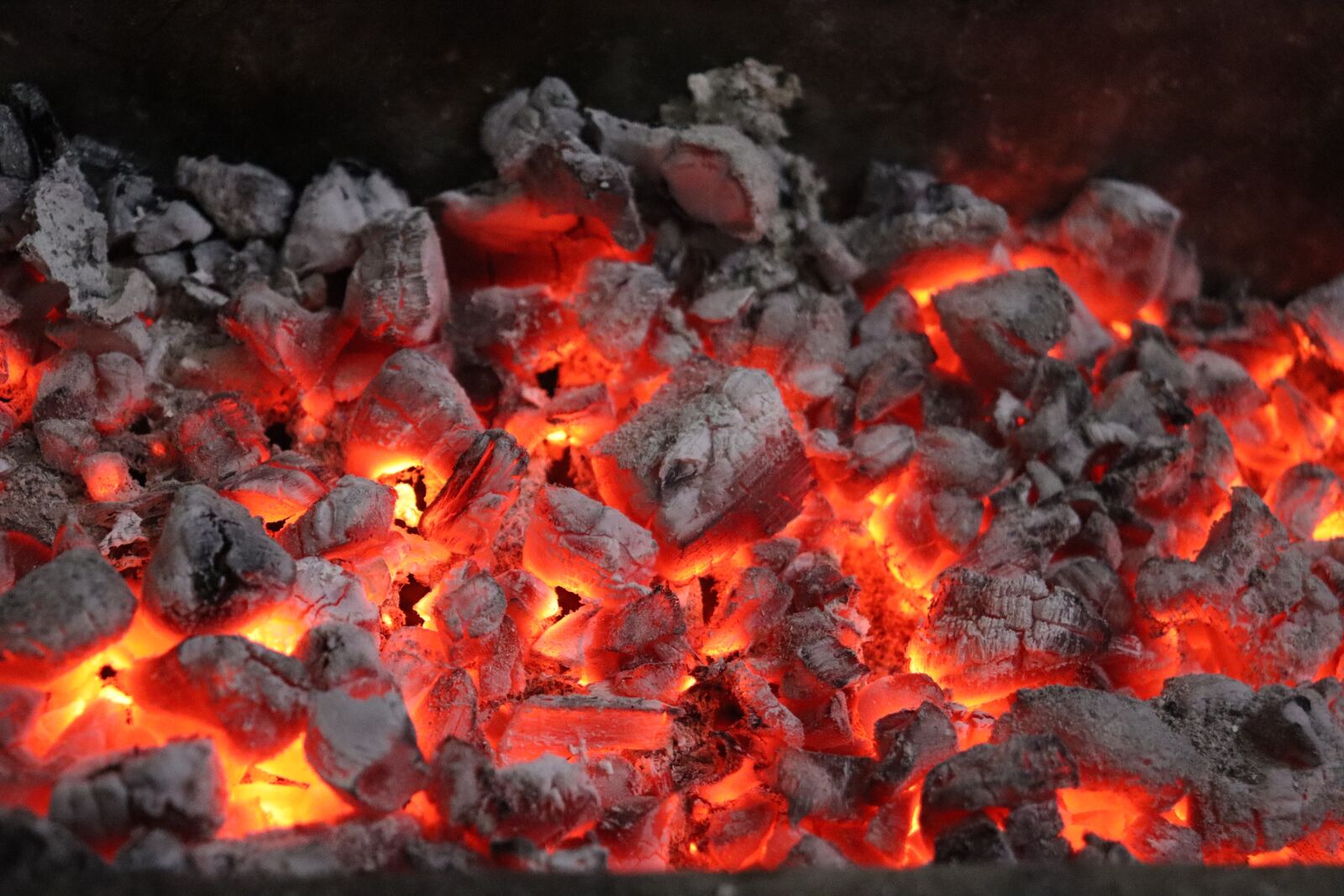 Canon EOS 250D (EOS Rebel SL3 / EOS Kiss X10 / EOS 200D II) sample photo. Coal, fire, burning photography