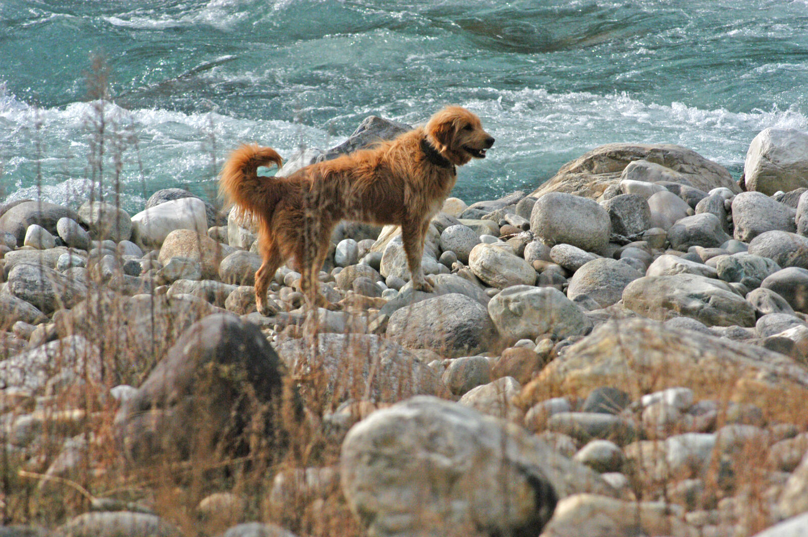 Nikon D100 sample photo