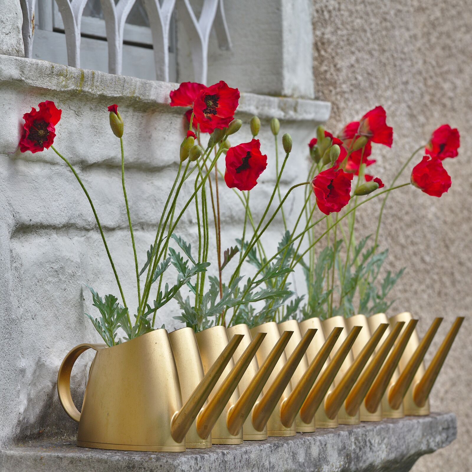 Canon EOS 6D sample photo. Poppy, watering can, window photography