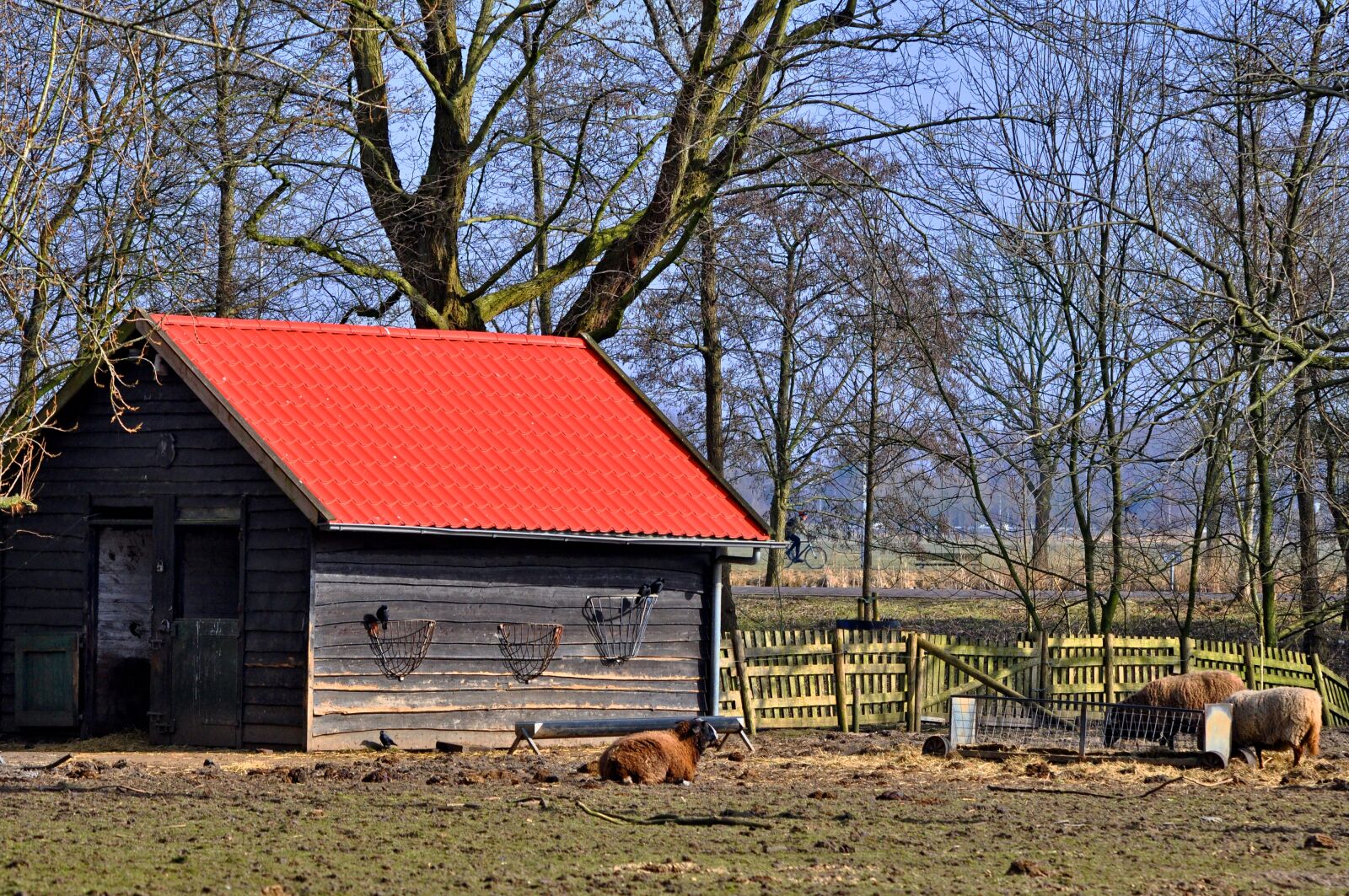 Nikon D90 sample photo. Barn, shed, paddock photography