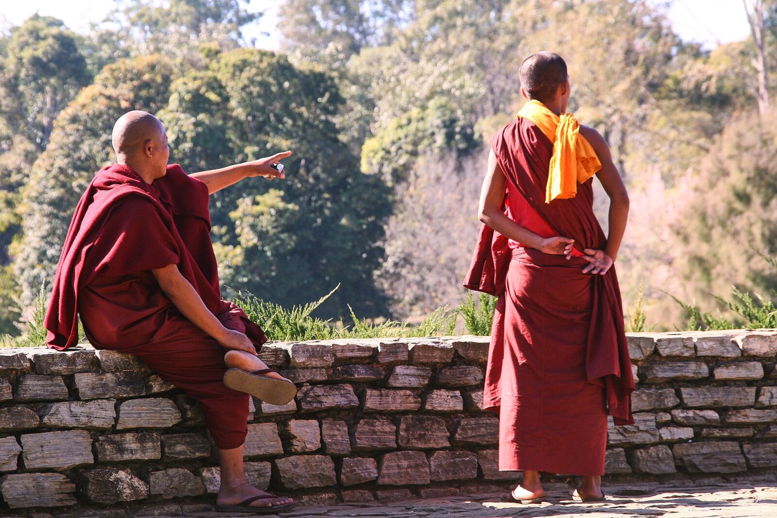 Canon EOS 400D (EOS Digital Rebel XTi / EOS Kiss Digital X) sample photo. Myanmar, monks, show photography