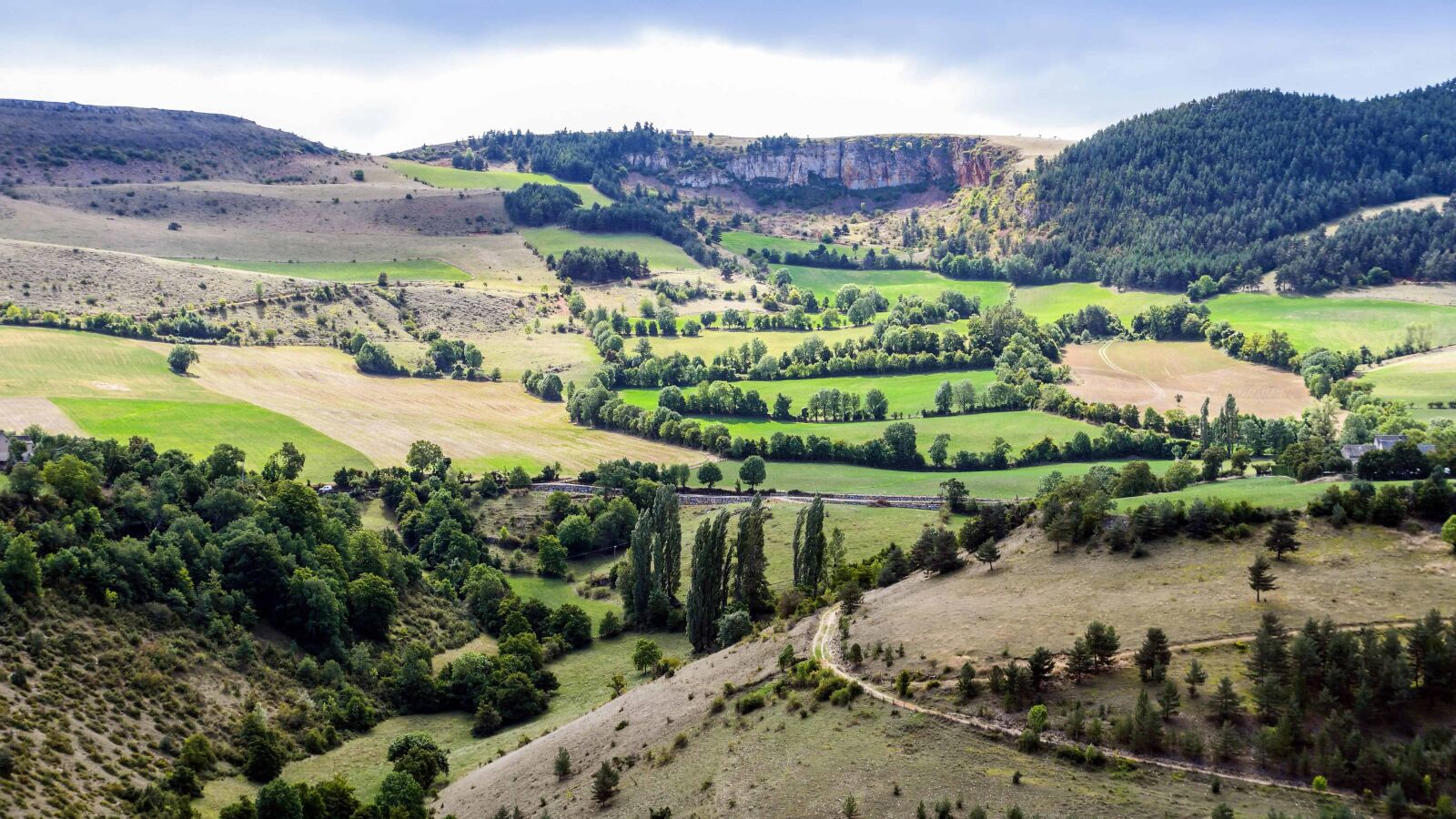 Nikon D500 sample photo. Hill, nature, landscape, tree photography