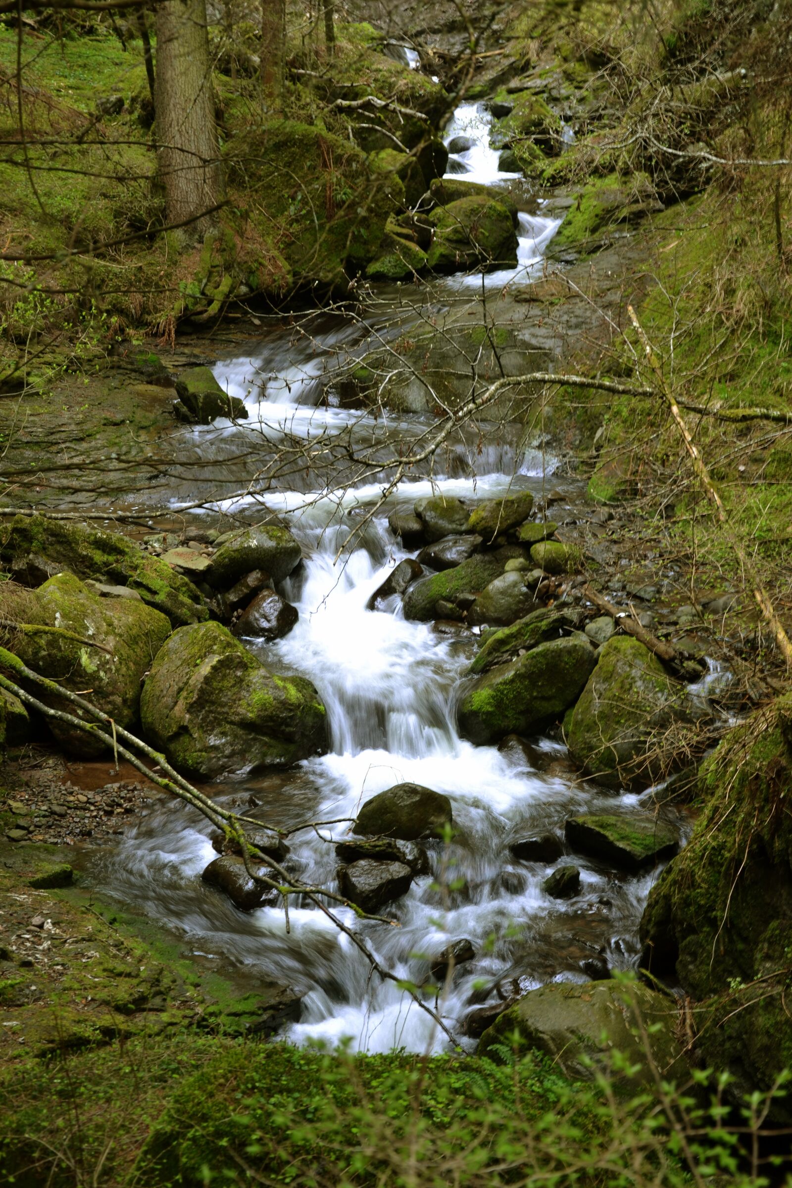 Nikon D3100 sample photo. Gorge, river, bach photography