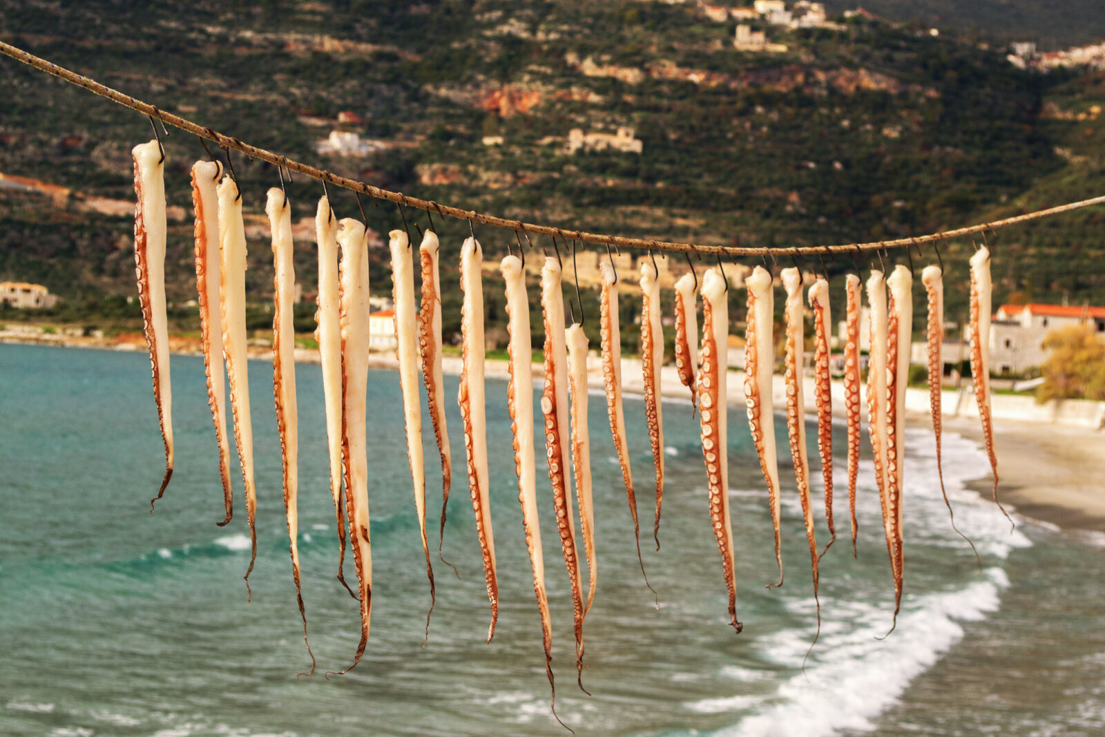 Nikon D3100 sample photo. Beach, color, cuisine, delicious photography