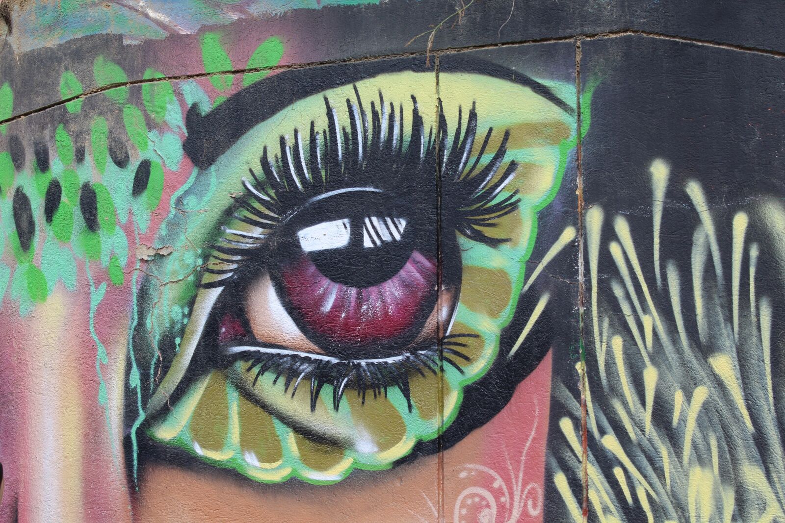 Canon EOS 1300D (EOS Rebel T6 / EOS Kiss X80) sample photo. Graffiti, drawing, art photography