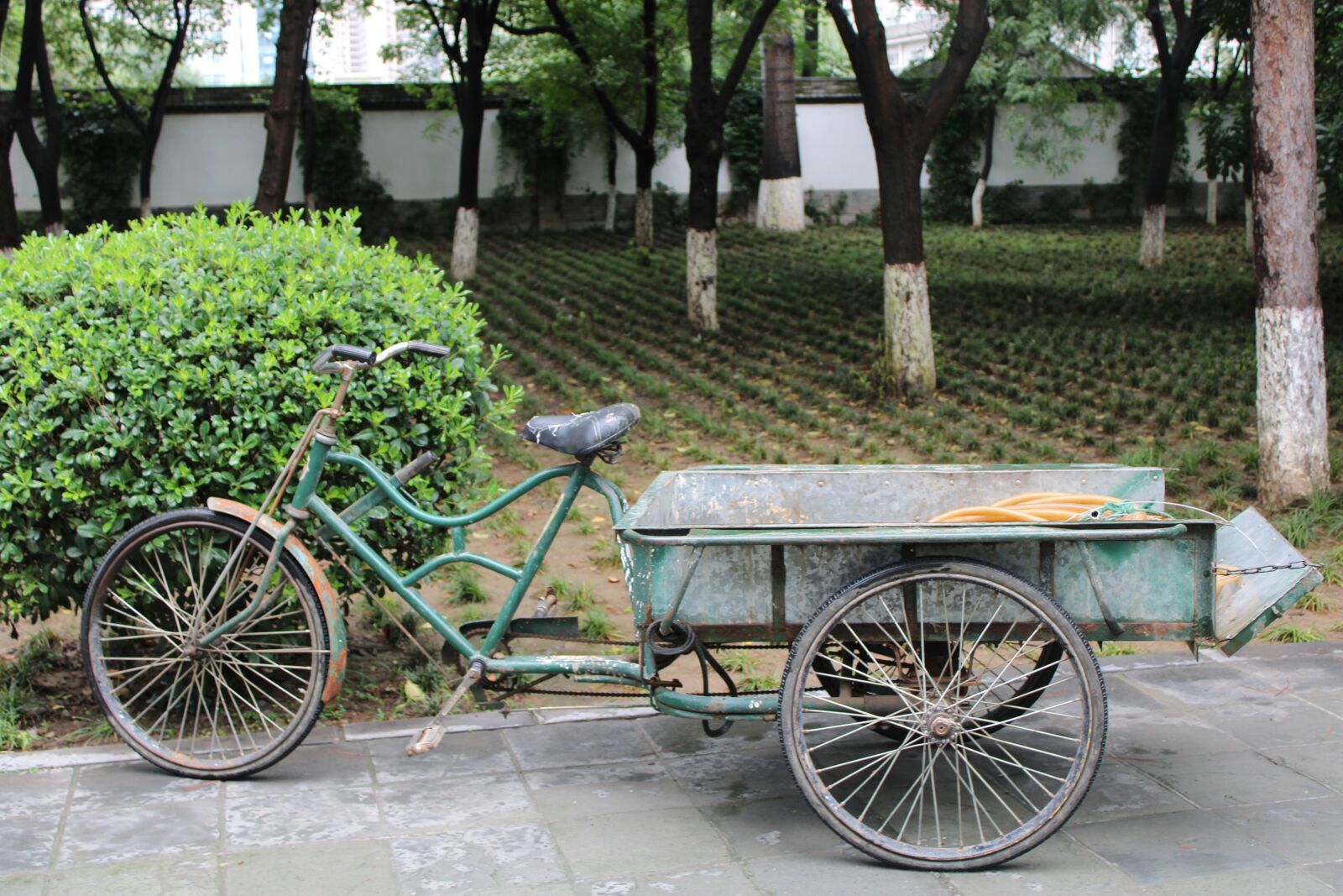 Canon EOS 2000D (EOS Rebel T7 / EOS Kiss X90 / EOS 1500D) sample photo. Bike, transport, travel photography