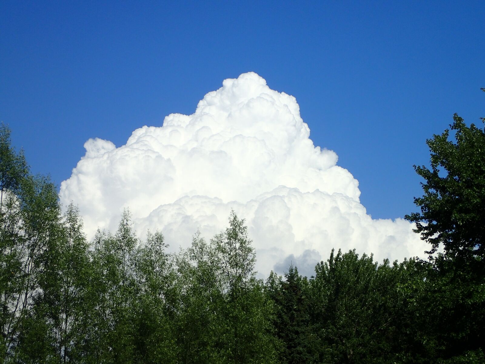Olympus TG-4 sample photo. Cloud, sky, cloud sky photography