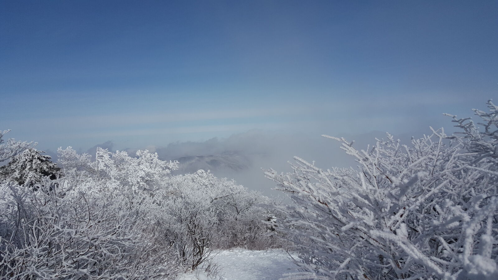 Samsung Galaxy Note5 sample photo. Korea, mountain, taebaeksan, winter photography
