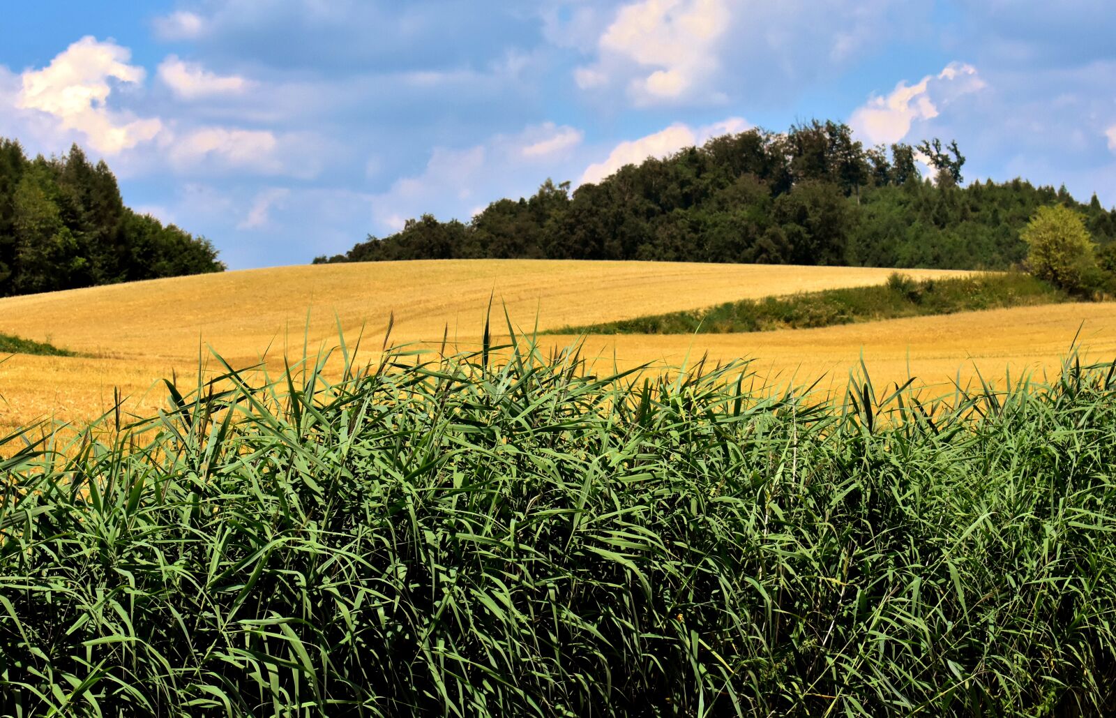 Nikon D7200 sample photo. Landscape, summer, fields photography
