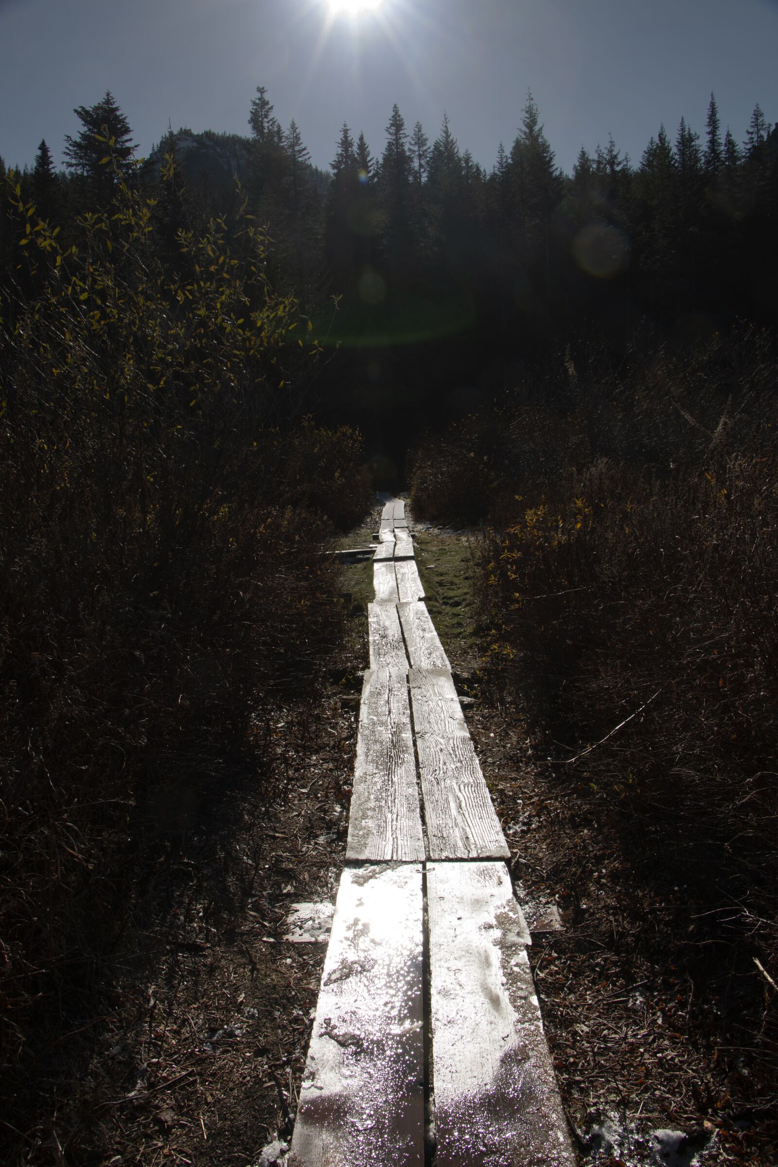 Canon EOS 70D + Canon EF-S 18-135mm F3.5-5.6 IS STM sample photo. Lake, afternoon, calm photography