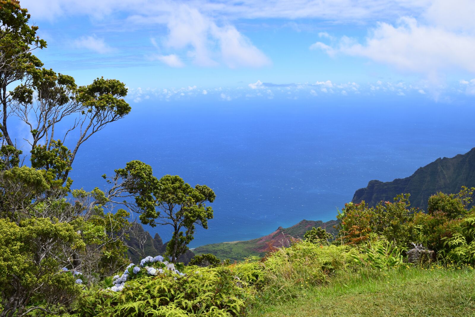 Nikon D3300 sample photo. Kalalau lookout, kauai photography