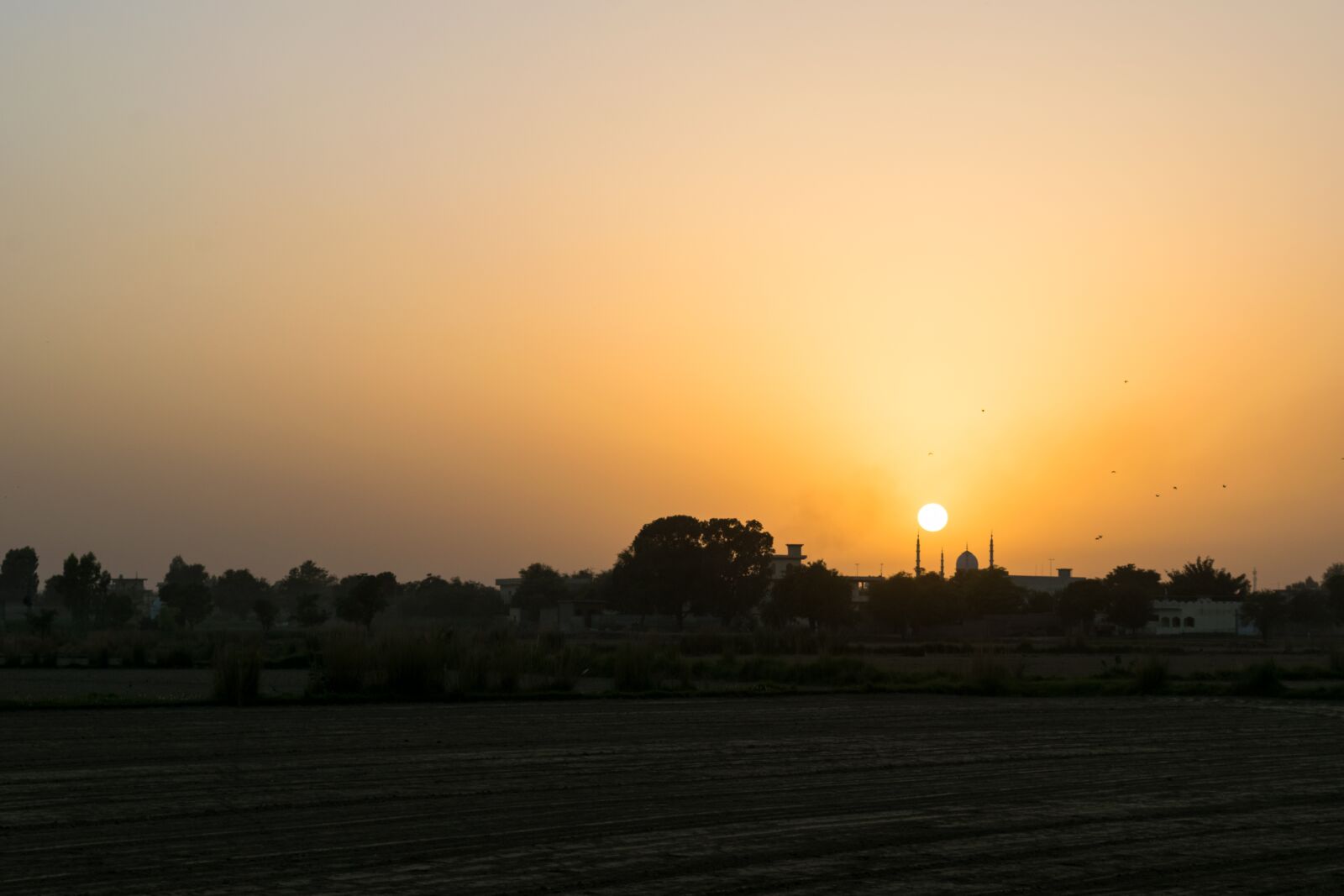 Nikon D5300 sample photo. Sunset, silhouette, dusk photography