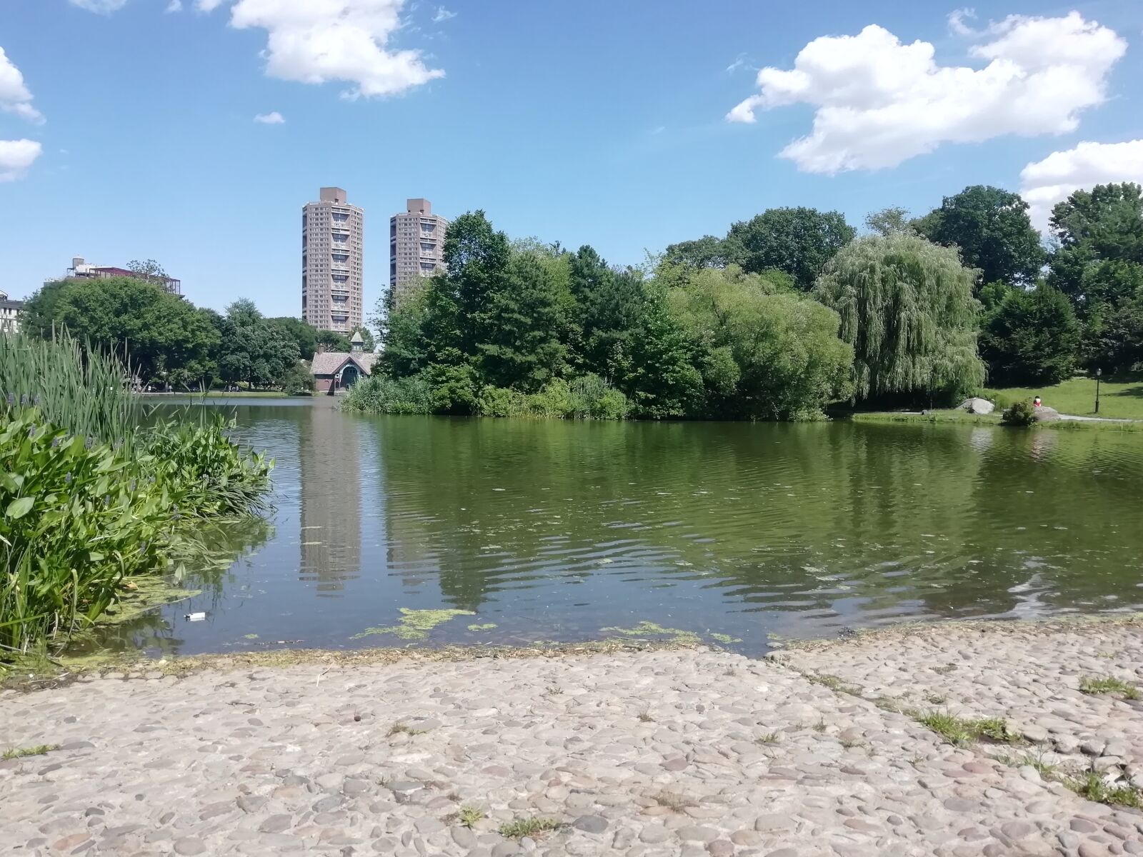 HUAWEI P SMART sample photo. Nueva york, central park photography