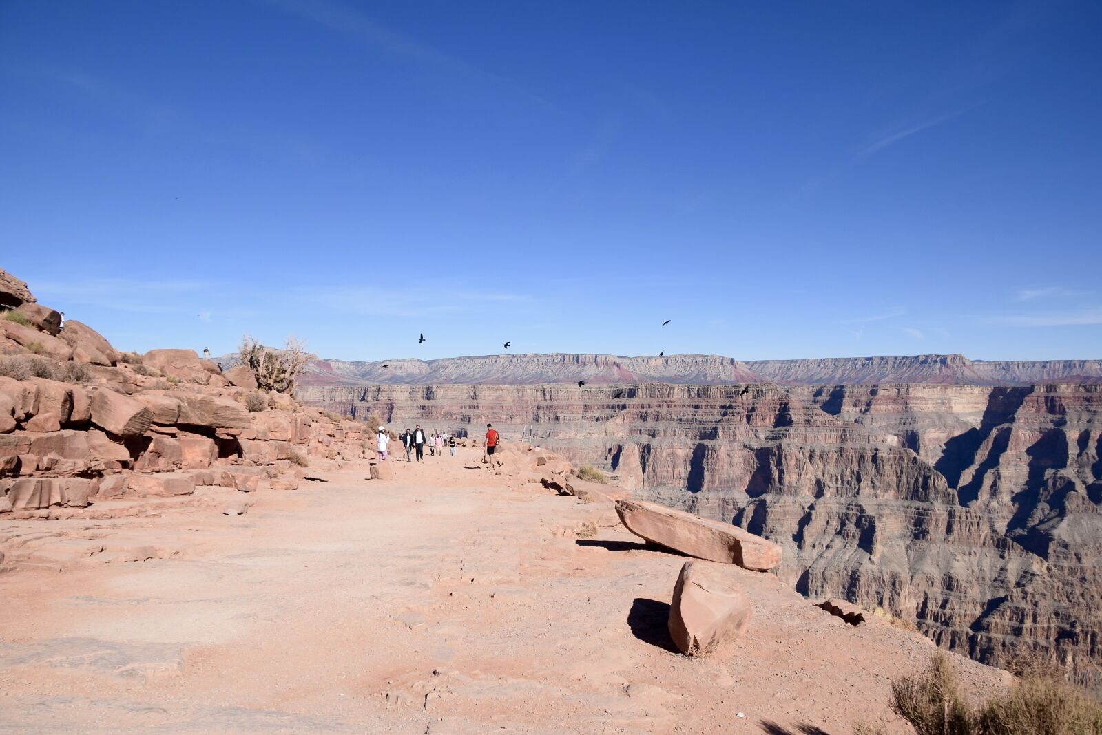 Nikon D3300 sample photo. Grand canyon, arizona, america photography