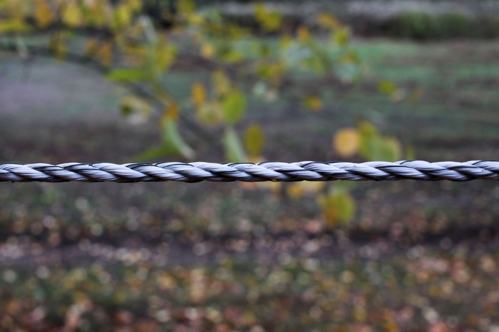 Canon EF-S 24mm F2.8 STM sample photo. Rope, fence, trist photography