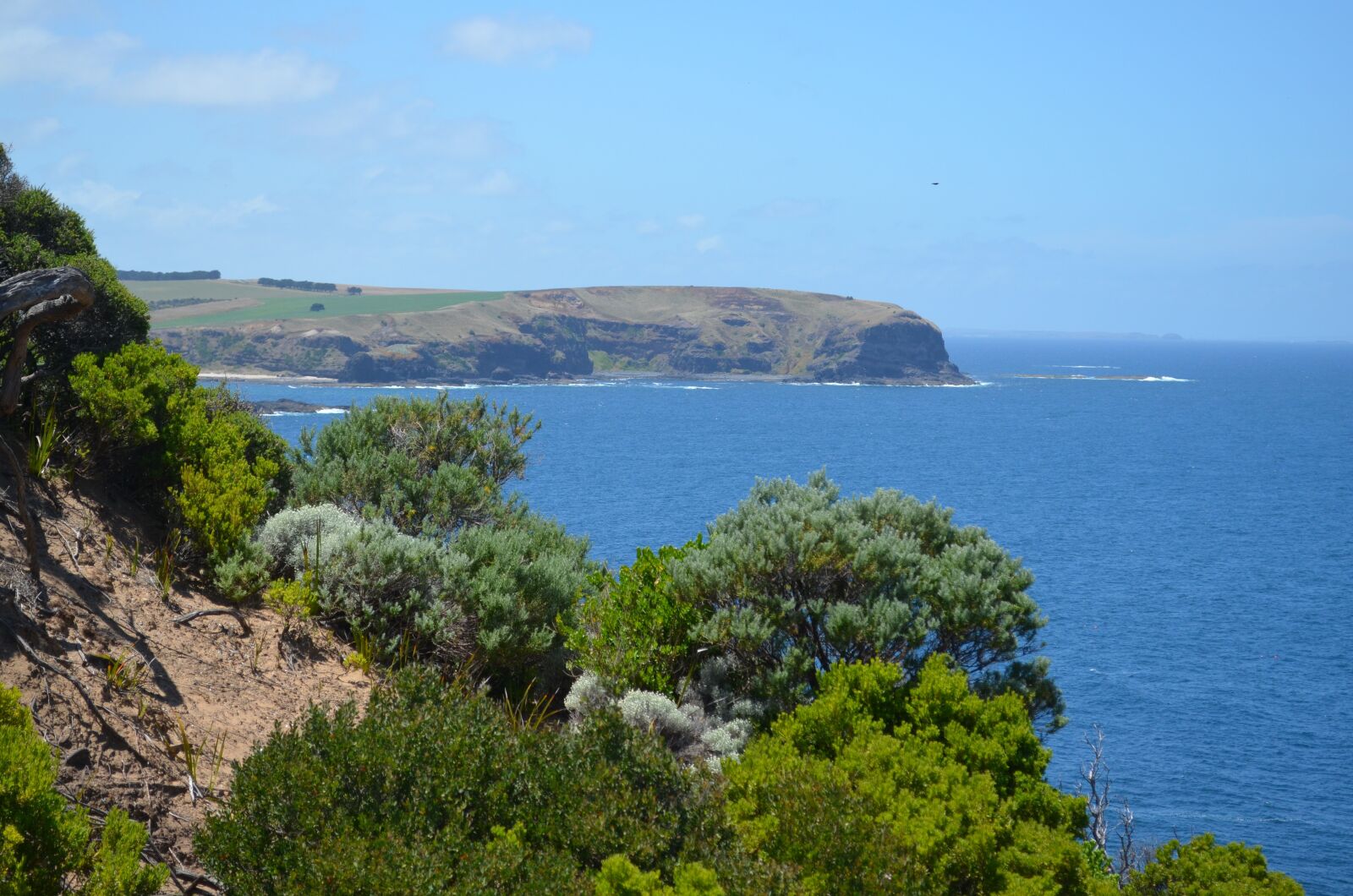Nikon D5100 sample photo. South, victoria, coastline photography