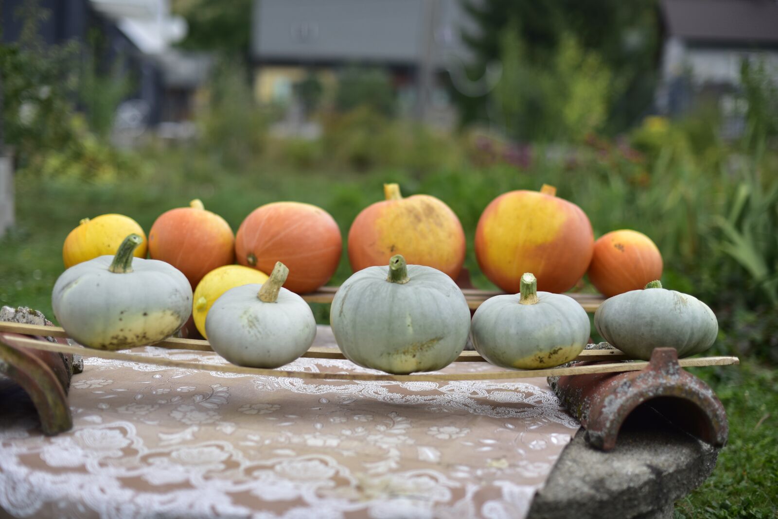 Nikon D750 sample photo. Pumpkins, pumpkin butternut squash photography