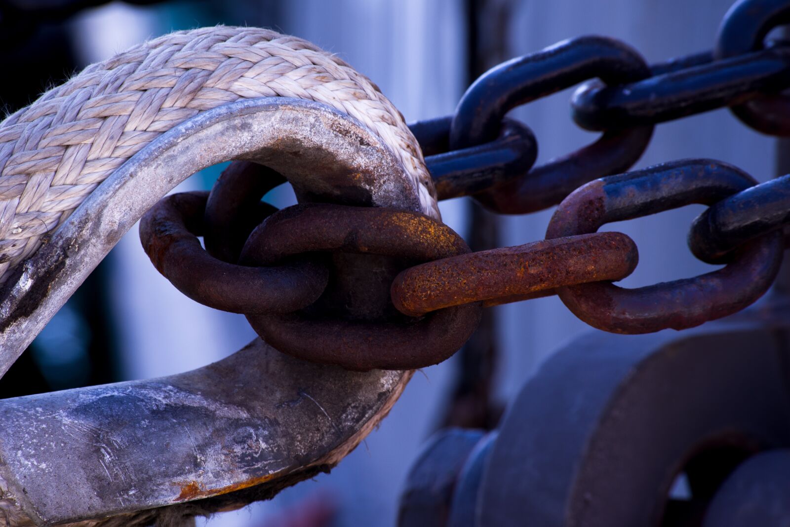 Pentax K-1 Mark II + Sigma sample photo. Rope, mooring, chain photography