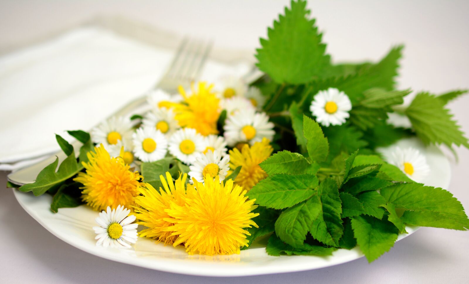 Nikon D5200 sample photo. Herbs, edible herbs, natural photography