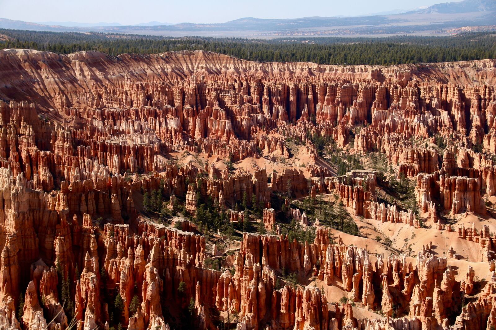 Canon EOS 760D (EOS Rebel T6s / EOS 8000D) sample photo. Bryce national park, utah photography